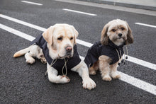 Load image into Gallery viewer, Dog Raincoat - Black