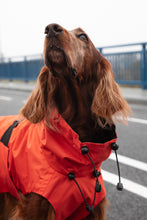 Load image into Gallery viewer, Dog Raincoat - Orange