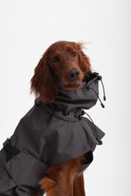 Load image into Gallery viewer, Dog Extended Raincoat - Anthracite