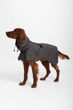 Load image into Gallery viewer, Dog Extended Raincoat - Anthracite