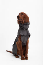 Load image into Gallery viewer, Dog Extended Raincoat - Anthracite