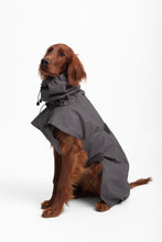 Load image into Gallery viewer, Dog Extended Raincoat - Anthracite
