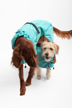 Load image into Gallery viewer, Dog Extended Raincoat - Bright Turquoise