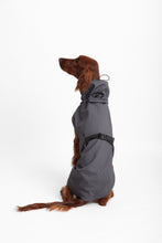 Load image into Gallery viewer, Dog Soft Shell - Grey