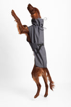 Load image into Gallery viewer, Dog Soft Shell - Grey