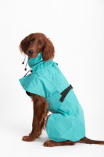 Load image into Gallery viewer, Dog Extended Raincoat - Bright Turquoise