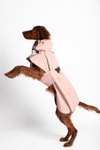 Load image into Gallery viewer, Dog Extended Raincoat - Peach