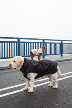 Load image into Gallery viewer, Dog Raincoat - Black