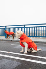 Load image into Gallery viewer, Dog Raincoat - Orange