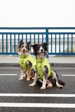 Load image into Gallery viewer, Dog Raincoat - Lime Yellow
