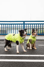 Load image into Gallery viewer, Dog Raincoat - Lime Yellow