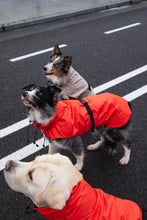 Load image into Gallery viewer, Dog Raincoat - Orange