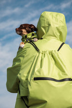 Load image into Gallery viewer, Backpack - Lime Yellow