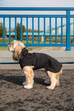 Load image into Gallery viewer, Dog Soft Shell - Black