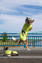 Load image into Gallery viewer, Dog Raincoat - Lime Yellow
