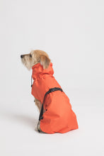 Load image into Gallery viewer, Dog Raincoat - Orange