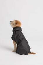 Load image into Gallery viewer, Dog Raincoat - Black