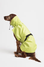 Load image into Gallery viewer, Dog Raincoat - Lime Yellow