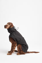 Load image into Gallery viewer, Dog Soft Shell - Black