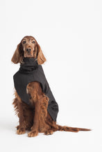 Load image into Gallery viewer, Dog Soft Shell - Black