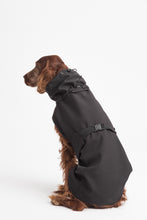 Load image into Gallery viewer, Dog Soft Shell - Black