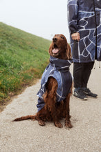 Load image into Gallery viewer, Dog Raincoat - Turtle Blue