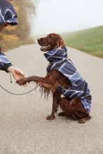 Load image into Gallery viewer, Dog Raincoat - Turtle Blue