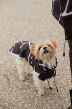 Load image into Gallery viewer, Dog Raincoat - Turtle Grey