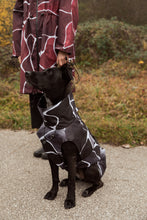 Load image into Gallery viewer, Dog Raincoat - Turtle Grey