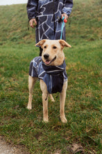 Load image into Gallery viewer, Dog Raincoat - Turtle Blue