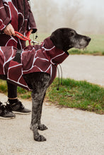 Load image into Gallery viewer, Dog Raincoat - Turtle Red