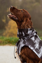 Load image into Gallery viewer, Dog Raincoat - Stains Grey

