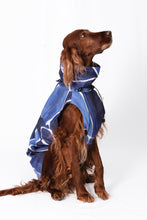 Load image into Gallery viewer, Dog Raincoat - Turtle Blue