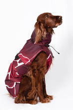 Load image into Gallery viewer, Dog Raincoat - Turtle Red