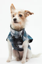 Load image into Gallery viewer, Dog Raincoat - Stains Turquoise