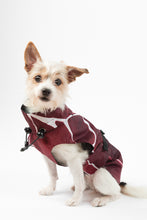 Load image into Gallery viewer, Dog Raincoat - Turtle Red
