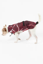 Load image into Gallery viewer, Dog Raincoat - Turtle Red