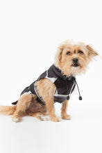 Load image into Gallery viewer, Dog Raincoat - Turtle Grey