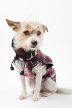 Load image into Gallery viewer, Dog Raincoat - Stains Salmon