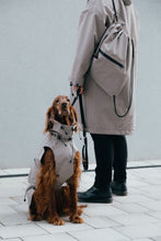 Load image into Gallery viewer, Dog Raincoat - Sand