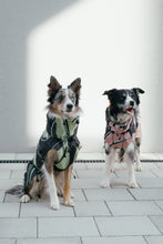 Load image into Gallery viewer, Dog Raincoat - Leaf Olive
