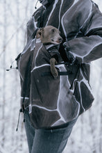 Load image into Gallery viewer, Dog Carrier - Turtle Grey