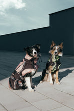 Load image into Gallery viewer, Dog Raincoat - Leaf Peach