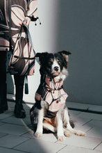 Load image into Gallery viewer, Parka - Leaf Peach