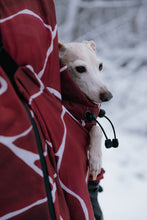 Load image into Gallery viewer, Dog Carrier - Turtle Red