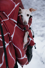 Load image into Gallery viewer, Dog Carrier - Turtle Red