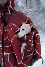 Load image into Gallery viewer, Dog Carrier - Turtle Red