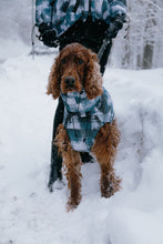 Load image into Gallery viewer, Dog Winter Coat - Stains Turquoise