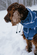 Load image into Gallery viewer, Dog Winter Coat - Turtle Blue