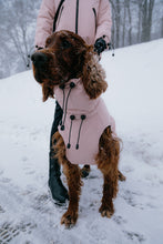 Load image into Gallery viewer, Dog Winter Coat - Peach
